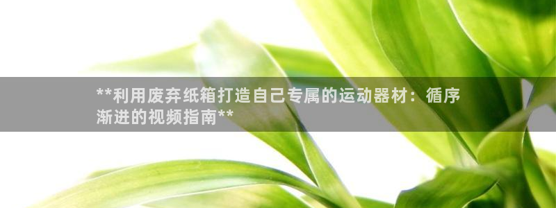 尊龙网址苹果版下载：**利用废弃纸箱打造自己专属的运