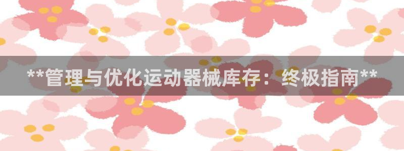 尊龙凯时只输不赢：**管理与优化运动器械库存：终极指