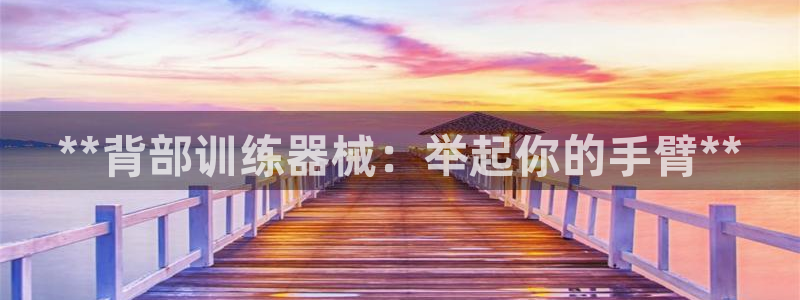 凯时k88最新：**背部训练器械：举起你的手臂**