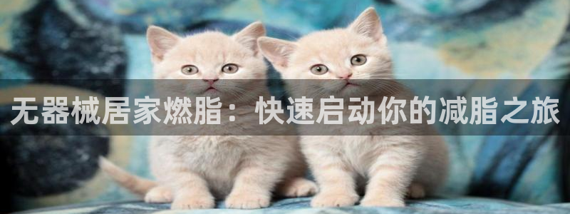 尊龙人生就是博旧：无器械居家燃脂：快速启动你的减脂之