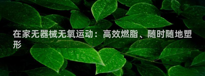 尊龙2016：在家无器械无氧运动：高效燃脂、随时随地
