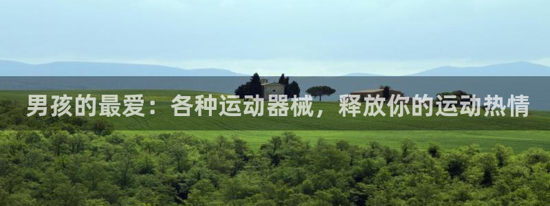 尊龙官网免费下载安装： 男孩的最爱：各种运动器械，释