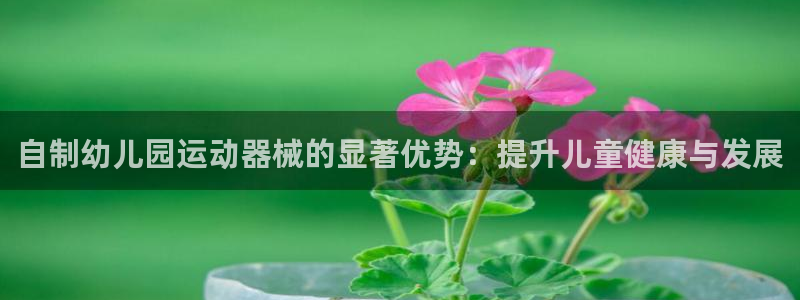 尊龙新版登录网址下载：自制幼儿园运动器械的显著优势：