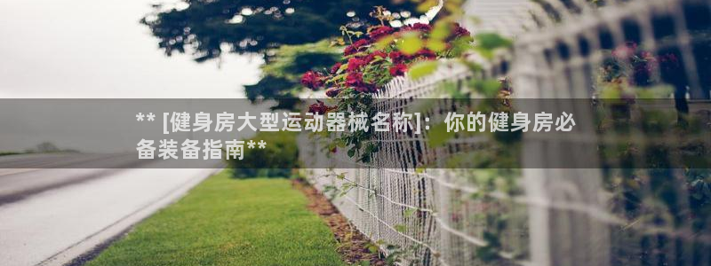 尊龙凯时人生就是博中国官网：** [健身房大型运动器