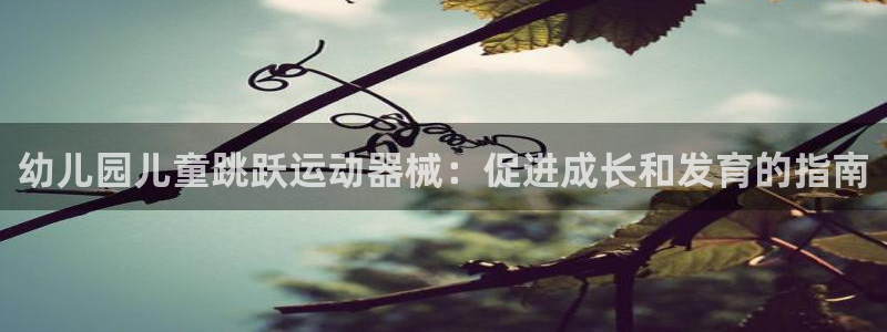 尊龙凯时人生就是博游戏网站：幼儿园儿童跳跃运动器械：