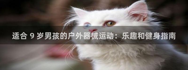 尊龙凯时ag旗舰：适合 9 岁男孩的户外器械运动：乐