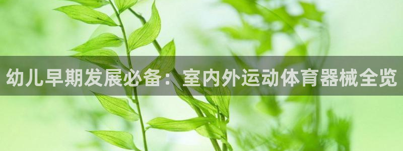 尊龙凯时取钱很慢：幼儿早期发展必备：室内外运动体育器