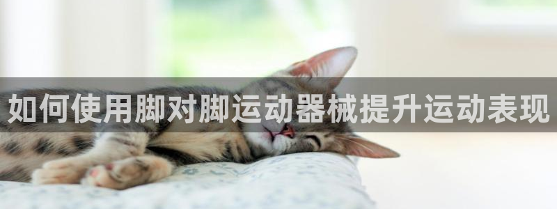 尊龙官网手：如何使用脚对脚运动器械提升运动表现