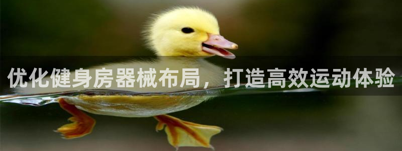 尊龙t400和尊龙t300区别：优化健身房器械布局，
