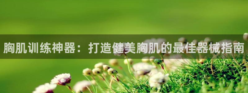 尊龙凯时干什么的：胸肌训练神器：打造健美胸肌的最佳器