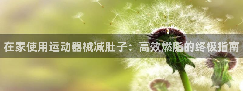 尊龙z6.con：在家使用运动器械减肚子：高效燃脂的