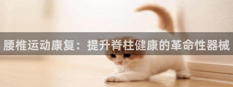 尊龙凯时-人生就是博中国官网最新：腰椎运动康复：提升