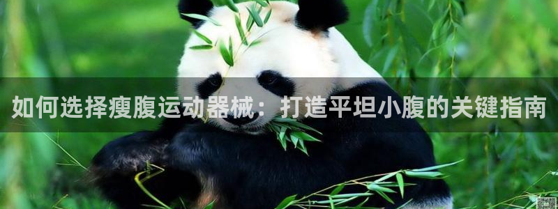 尊龙凯时z6官网：如何选择瘦腹运动器械：打造平坦小腹