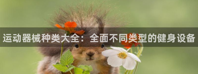 ag尊龙官方网站app：运动器械种类大全：全面不同类