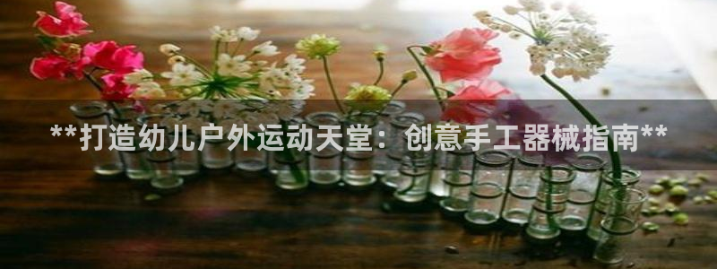 尊龙凯时 - 人生就是搏!：**打造幼儿户外运动天堂