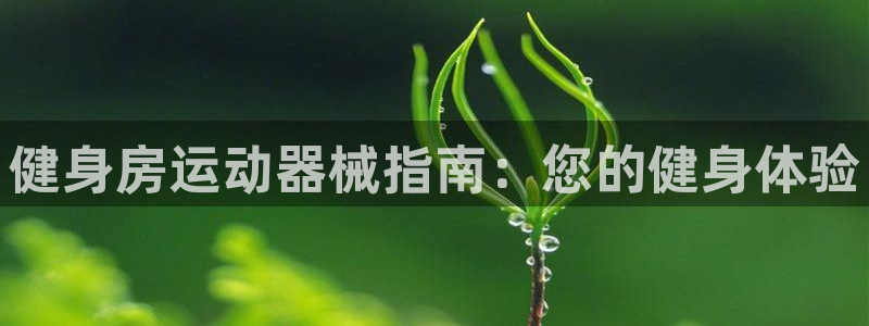 尊龙手机版：健身房运动器械指南：您的健身体验