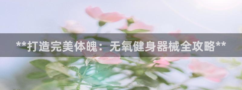 尊龙人生就是博中国区：**打造完美体魄：无氧健身器械