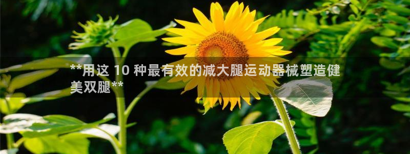 尊龙凯时d5138：**用这 10 种最有效的减大腿