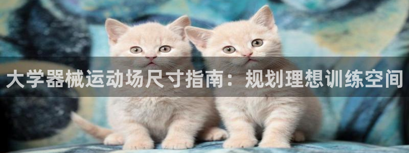 尊龙500价格：大学器械运动场尺寸指南：规划理想训练