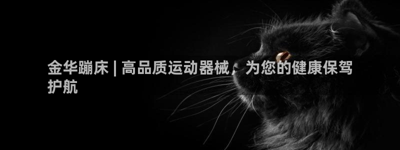 尊龙游戏中心：金华蹦床 | 高品质运动器械，为您的健