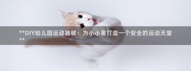 尊龙凯时用户名m：**DIY幼儿园运动器械：为小小者