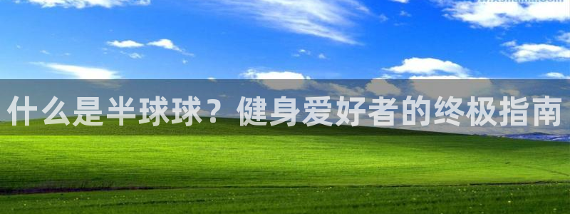 z6尊龙凯时旗舰厅首页：什么是半球球？健身爱好者的终