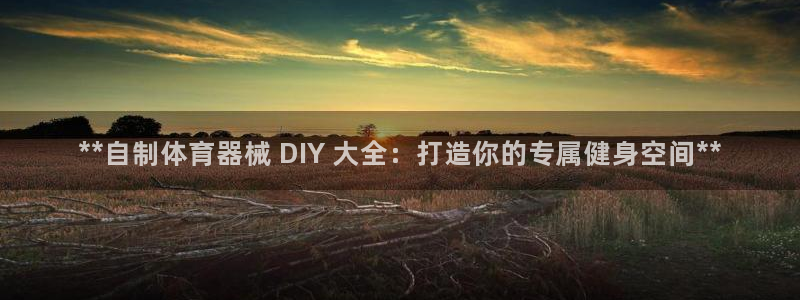 尊龙凯时为什么输了钱：**自制体育器械 DIY 大全