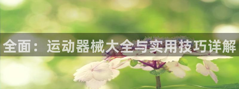 尊龙凯时导航菜单首页
