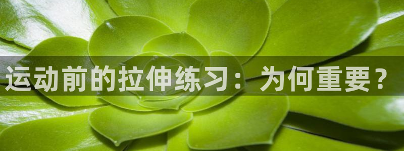 z6com尊龙凯时
