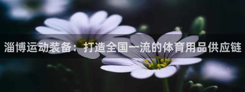 尊龙官方