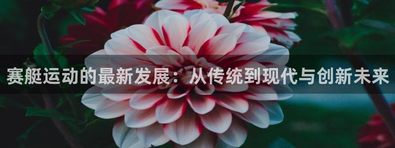 尊龙d88现金 旧版本可靠送38元