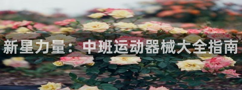 凯时k66官方发布