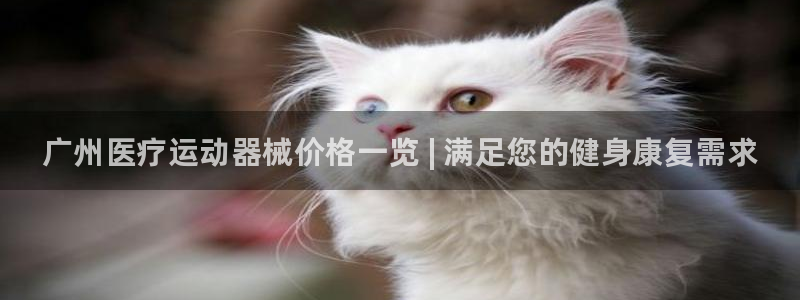 尊龙凯时输钱的原因：广州医疗运动器械价格一览 | 满足您的健