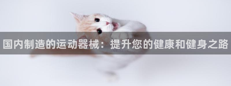 凯时ag旗舰厅：国内制造的运动器械：提升您的健康和健