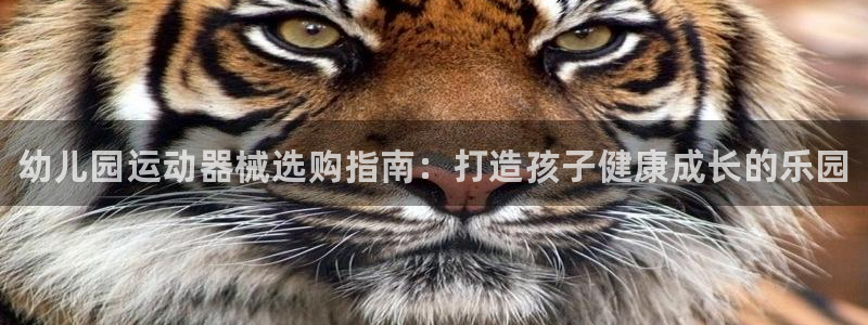 尊龙凯时人生就博：幼儿园运动器械选购指南：打造孩子健