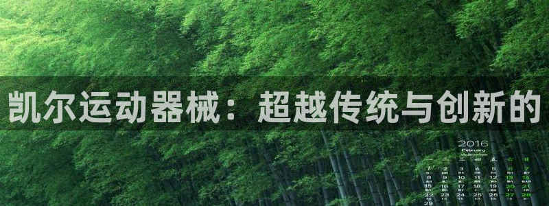 凯时ag旗舰厅登录