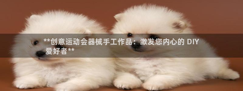 尊龙人生就是博登陆：**创意运动会器械手工作品：激发