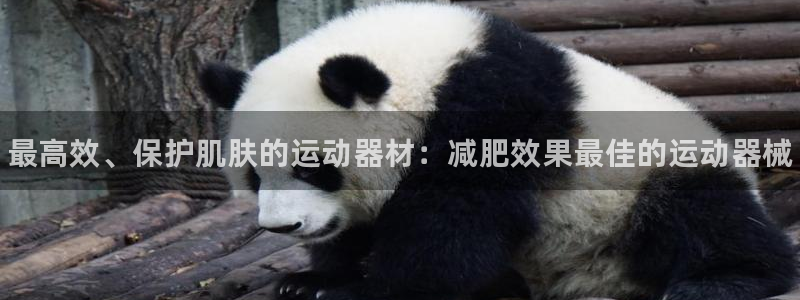 尊龙/人生就是博