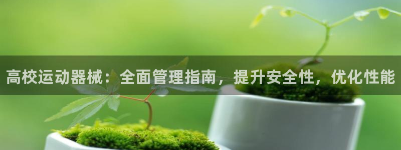 凯时官网的售后服务：高校运动器械：全面管理指南，提升