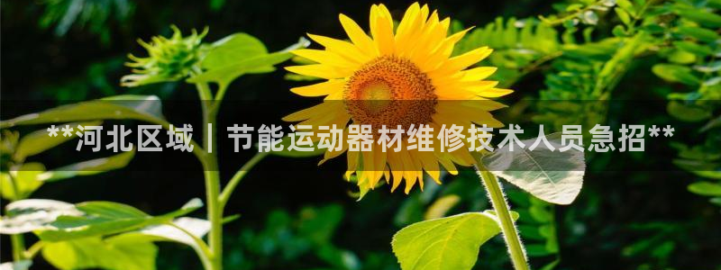 尊龙凯时取款一直支付中