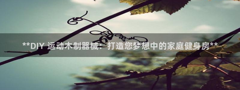 凯时平台app：**DIY 运动木制器械：打造您梦想中的家庭