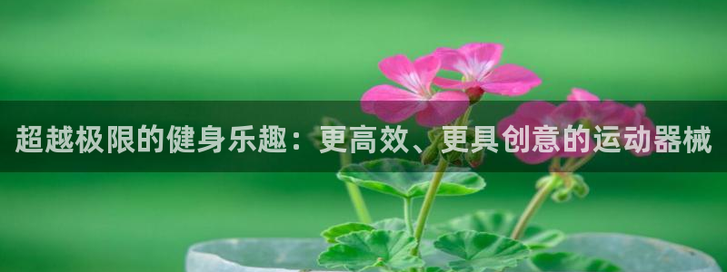 尊龙官方网站是真的吗