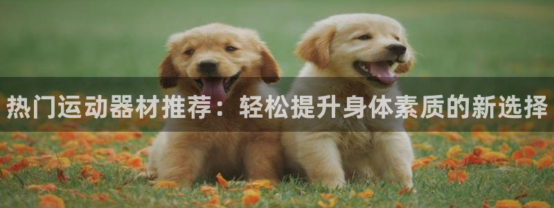 尊龙人生就是博旧版现金娱乐一下：热门运动器材推荐：轻