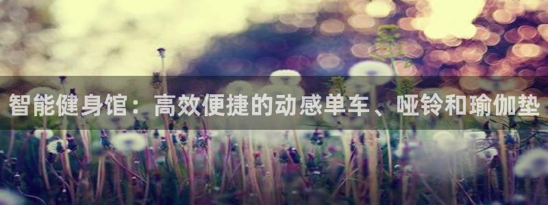 尊龙凯时存款不上分：智能健身馆：高效便捷的动感单车、