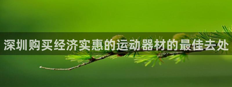 d88尊龙z6：深圳购买经济实惠的运动器材的最佳去处
