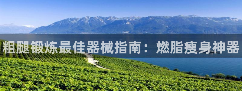 尊龙官方网站是真的吗：粗腿锻炼最佳器械指南：燃脂瘦身神器