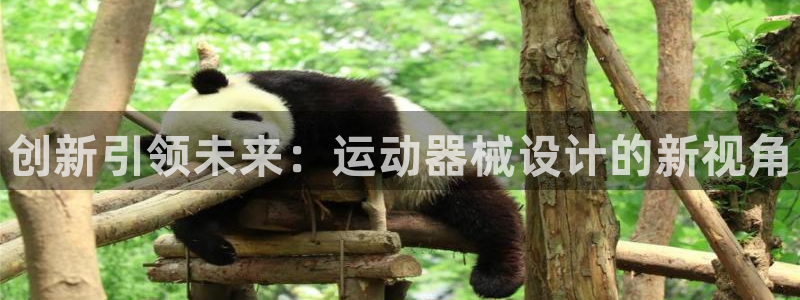 尊龙凯时人生就是博·(中国)官网官：创新引领未来：运动器械设